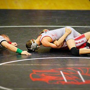 Meet your Posher, Owen